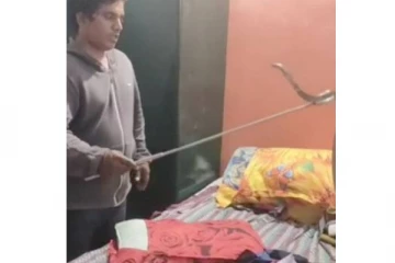 படுக்கையறையில் பக்கத்திலேயே தூங்கிய கொடிய விஷப்பாம்பு! வெளியான அதிர்ச்சி சம்பவம்