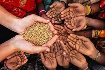 இலங்கையில் ஏற்பட்டுள்ள பொருளாதார நெருக்கடி: உக்கிரமடையப்போகும் உணவுத்தட்டுப்பாடு - செய்திகளின் தொகுப்பு