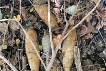 நாகர்கோவில் பகுதியில் மோட்டார் குண்டுகள் செயலிழக்க வைப்பு (Photos)