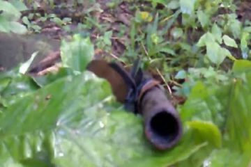 கட்டுத் துப்பாக்கி எடுத்து சென்ற இளைஞருக்கு நேர்ந்த விபரீதம்