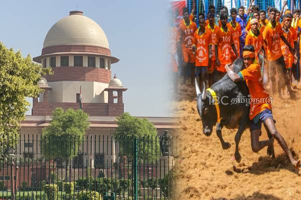 Tamil Nadu government invites judges to watch jallikattu competition