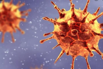 உருமாறிய கொரோனாவால் உயிரிழந்தோரின் எண்ணிக்கை 20.97 லட்சத்தை கடந்தது