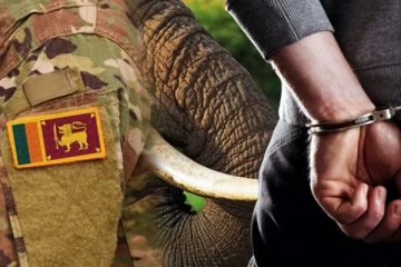 முன்னாள் இராணுவ அதிகாரி கைது : கைப்பற்றப்பட்ட யானைத் தந்தங்கள் : செய்திகளின் தொகுப்பு