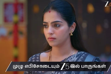 விநாயகர் சதுர்த்தி பூஜைக்கு தயாராகும் அப்பத்தா குடும்பம்.. மீனாட்சிக்கு எதிராக நடக்கும் சதி - வாகை சூடவா இன்றைய எபிசோட் அப்டேட்