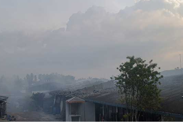 கொழும்பின் புறநகரில் மக்களுக்கு ஏற்பட்டுள்ள ஆபத்து | Homagama Industrial Zone Fire Contained