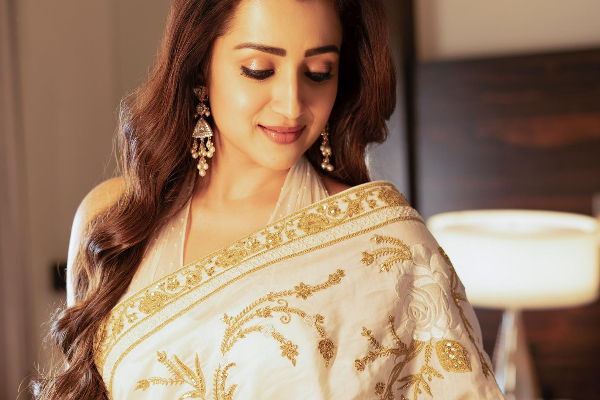 மீண்டும் உச்சத்திற்கு வந்த த்ரிஷா.. கைவசம் இத்தனை படங்களா? | Trisha Has Too Many Movie Offers