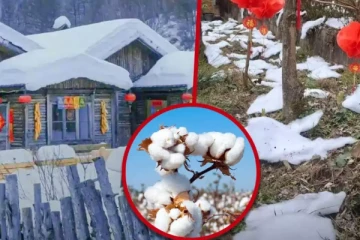 சோப்பு நுரையை பயன்படுத்தி சுற்றுலா பயணிகளை ஏமாற்றிய சீனா நிர்வாகம்