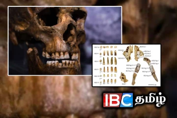 மனிதன் பாதி மிருகம் பாதி - சீனாவில் கண்டுபிடிக்கப்பட்ட புதிய இனம்