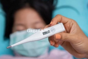 වියළි කාලගුණයත් සමගින් රෝගයක අවධානම් තත්ත්වයක් - මේ ගැනත් අවධානයෙන් කටයුතු කරන්න.