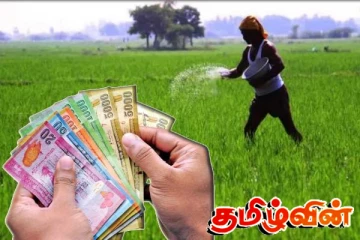 பெரும்போக நெற்செய்கை விவசாயிகளுக்கான மானிய உரக் கொடுப்பனவு வைப்பிடும் பணிகள்