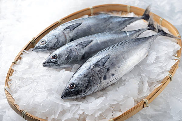 மழைக்காலங்களில் மீன் வாங்கும் போது ஏமாந்திடாதீங்க... இப்படித்தான் பார்த்து வாங்கனுமாம் | How To Check Fresh Or Spoiled Fish மழைக்காலங்களில் மீன் வாங்கும் போது ஏமாந்திடாதீங்க... இப்படித்தான் பார்த்து வாங்கனுமாம் | How To Check Fresh Or Spoiled Fish