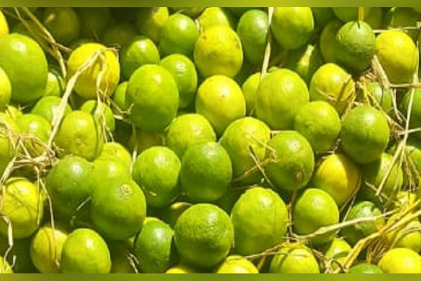 கொவிட்டிலிருந்து தப்ப சீனாவில் எலுமிச்சையை வாங்கி குவிக்கும் மக்கள் | Chinese Eat More Lemons To Avoid Covid