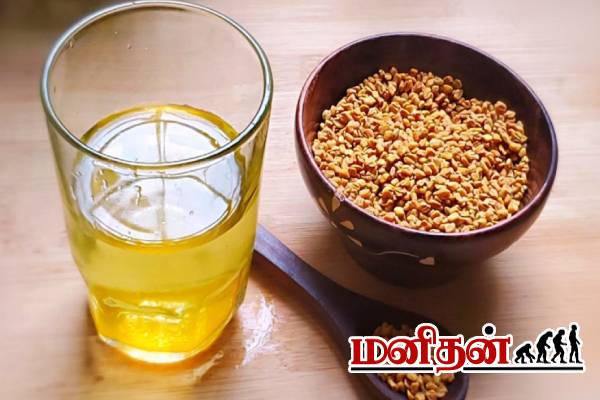 ஒல்லியான இடுப்பு வேணுமா? அப்போ வெந்தயத்தை இப்படி சாப்பிடுங்க | Fenugreek For Weight Loss In Tamil
