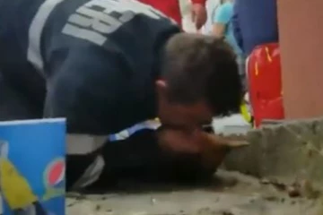 உயிருக்கு போராடிய நாய்க்கு வாயோடு வாய் வைத்து மூச்சினை செலுத்திய மனிதர்! நெகிழ வைத்த காட்சி