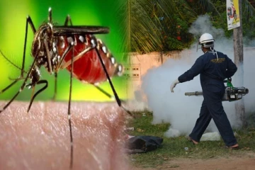 டெங்கு பரம்பலை கட்டுப்படுத்த சுகாதார அமைச்சு நடவடிக்கை