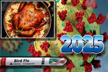 2025-ல் பேரழிவை ஏற்படுத்தப் போகும் வைரஸ் தொற்று- நிபுணர்களின் எச்சரிக்கை!