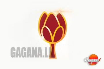 පළාත් පාලන ආයතන පිහිටුවීමේ පොහොට්ටුවේ තාම තීරණයක් නෑ