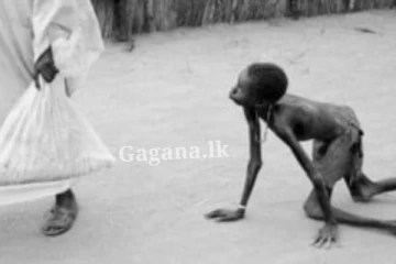 සුඩාන වැසියන්ගෙන් අඩක් දරුණු සාගතයකින් පෙළෙයි...