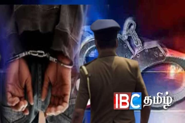பல மில்லியன்கள் மோசடி : பேராசிரியர் கைது