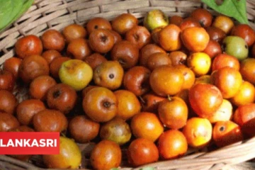 மன அமைதி மற்றும் நிம்மதியான தூக்கம் பெற வேண்டுமா? இந்த பழத்தை சாப்பிட்டால் போதும்