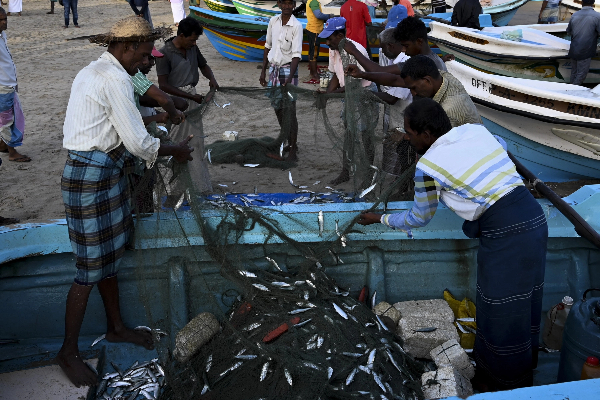 இறந்த மீன்களை உண்பதைத் தவிருங்கள்...! மக்களுக்கு அவசர எச்சரிக்கை | Warning Issued Fish Price In Sri Lanka Today இறந்த மீன்களை உண்பதைத் தவிருங்கள்...! மக்களுக்கு அவசர எச்சரிக்கை | Warning Issued Fish Price In Sri Lanka Today