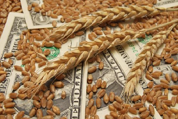 உலகளவில் உணவுப்பொருட்களின் விலைகள் தொடர் வீழ்ச்சி! | Global Food Prices Rising World Food Price