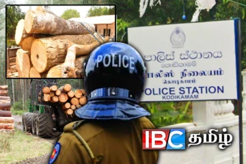 யாழில் சட்டவிரோத மரக்கடத்தல் முறியடிப்பு : ஒருவர் கைது