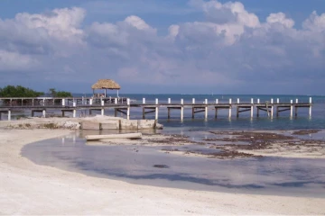 மத்திய அமெரிக்காவில் கனடியர் சடலமாக மீட்பு