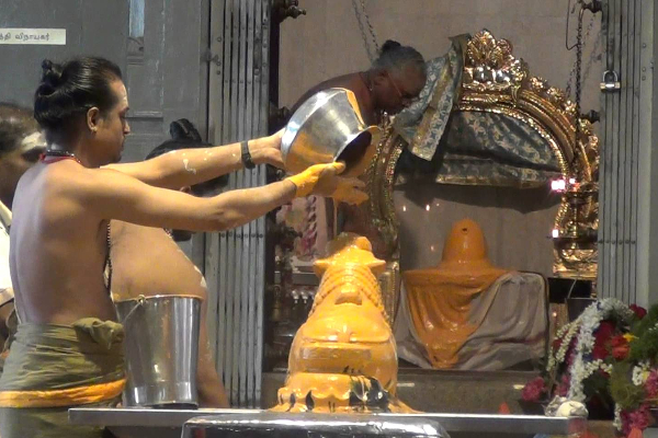 மகா சிவராத்திரியில் சிவனுக்கு இந்த மலர்களால் பூஜை செய்தால் நினைத்தது நிறைவேறும்! | Shiva With These Flowers On Maha Shivratri
