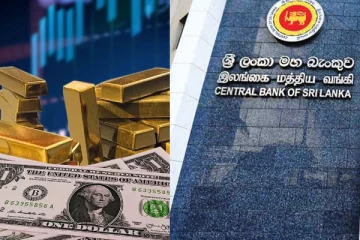 எகிறும் டொலரின் பெறுமதி - அரச வங்கிகள் தொடர்பில் வெளியான எச்சரிக்கை