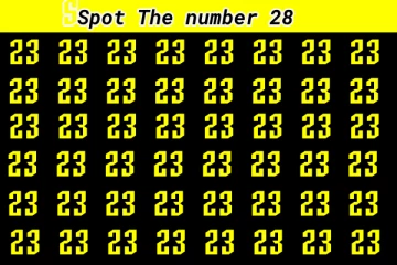 Optical illusion: கண்களுக்கு வித்தைகாட்டும் '23' களில் இலக்கம் '28' எங்கே உள்ளது?