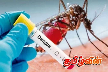 நாடு முழுவதும் தீவிரமடையும் டெங்கு நோய்: பொதுமக்களுக்கு விடுக்கப்பட்ட அறிவுறுத்தல்