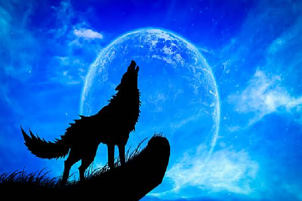 2026 இல் வானில் நிகழ்வுள்ள அதிசயம் ; கண்களைப் பறிக்கும் காட்சி | Miracle That Happen Sky 2026 Breathtaking Sight