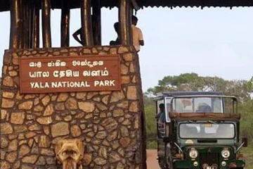යාල ජාතික වනෝද්‍යානයට යන අයට සතුටු හිතෙන ආරංචියක් - ආයේ ටිකට් ගන්න පෝලිම්වල ඉන්න ඕනේ නෑ