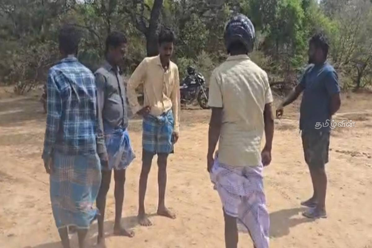 ஒரே இரவில் மாயமான 30 இலட்சம் பெறுமதியான மாடுகள் - உரிமையாளர் விடுத்துள்ள கோரிக்கை | Cows Worth Rs 30 Lakhs Stolen