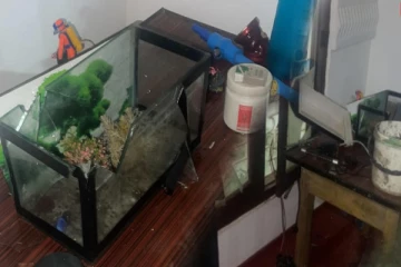 யாழில் வன்முறை கும்பல் அட்டகாசம்; நள்ளிரவில் அடித்துடைக்கப்பட்ட வீடு