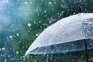 குடியிருப்புகள் மீது முறிந்து வீழ்ந்த மரம்