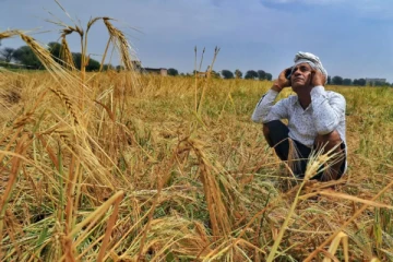 அரசியல் தலையீடு காரணமாக நட்டஈடு ரத்து ; பாதிக்கப்பட்ட விவசாயிகள் சோகத்தில்