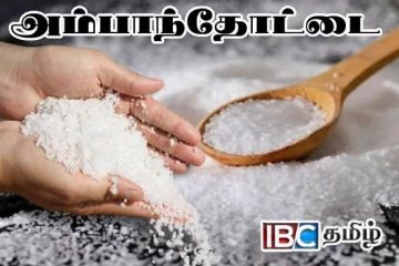 அம்பாந்தோட்டையில் மீண்டும் ஆரம்பமான உப்பு உற்பத்தி
