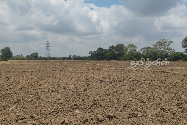 வவுனியா மாவட்டத்தில் பெரும்போக நெற் செய்கை ஆரம்பம் | Paddy Cultivation Area 25 425 Hectares In Vavuniya