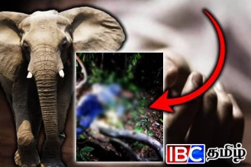 தமிழர் பகுதியில் கொடூரம் - யானை தாக்கி இளம் தாய் பலி - உயிர் தப்பிய 3 வயது குழந்தை