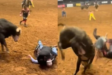 மகனைக் காப்பாற்ற முரட்டுக்காளை முன் பாய்ந்த தந்தை: ஒரு வைரல் வீடியோ