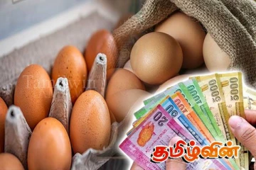 முட்டை விலை அதிகரிப்பு குறித்து வெளியான தகவல்
