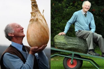 எல்லாமே ராட்சச காய்கறிகள்; ஒரு கத்தரிக்காய் மட்டுமே 3 கிலோ - விவசாயத்தில் அசத்தும் முதியவர்!