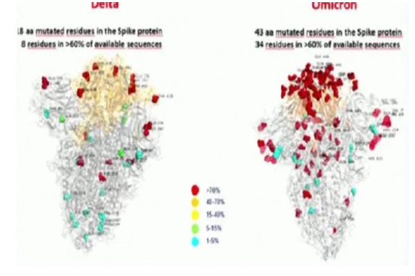 வெளியானது ஒமிக்ரோன் வைரஸின் புகைப்படம் | Photo Of Omicron Virus Released
