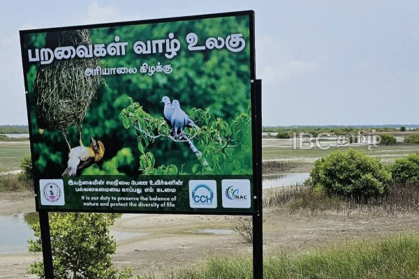 யாழில் முறையற்ற கழிவகற்றலால் பெரும் பாதிப்பு | Warning Over Illegal Sewage Disposal In Jaffna