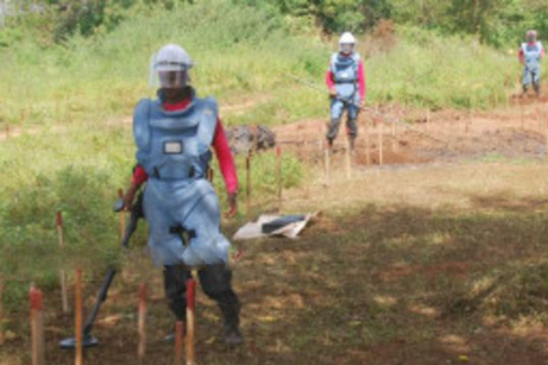 வடக்கில் கண்ணிவெடி அகற்றும் நடவடிக்கை! | Demining Operation In The North