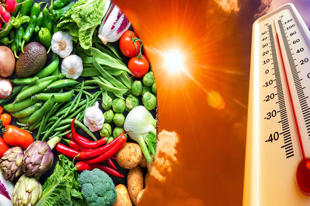 உடலை குளிர்ச்சியாக வைக்க உதவும் காய்கறிகள் என்ன தெரியுமா? | Vegetables That You Should Eat To Keep You Cool