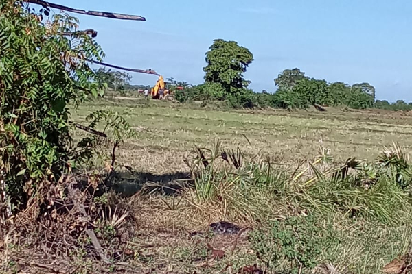 தமிழர் பகுதியில் தொடரும் சட்டவிரோத ஆக்கிரமிப்புக்கள்! | Kanguveli Pool Invasion At Trincomalee