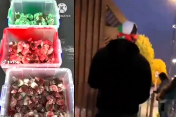 பிரித்தானியாவில் பாலஸ்தீனத்திற்கு ஆதரவாக மெக்டொனால்டில் எலிகளை விட்ட நபர்